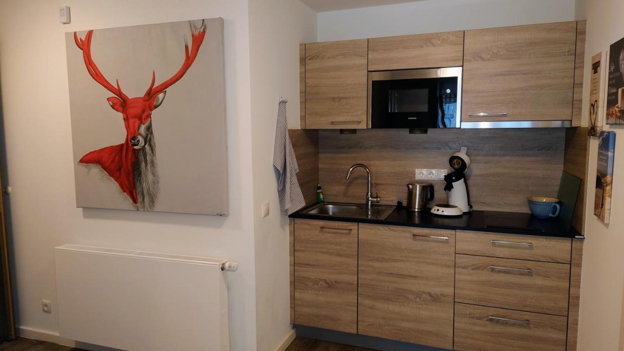 Maurers Schlierseetraum 6, Studio 455 Mit 42 Qm Neu Renoviert, Erdgeschoss Mit Eingezaeunter Terrasse In Ruhiger Lage Am Kirchbichlweg 8 Exteriér fotografie